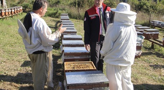 Sinop'ta KDAKP kapsamında 1074 yararlanıcıya 185 milyon lira hibe verildi
