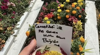 Bağcılar cinayetinde ateş açan şüpheli, Çeşme'de 2 firari hükümlüyle yakalandı