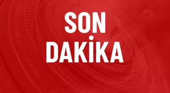 Gezi soruşturması kapsamında tutuklanan Ayşe Barım'ın kardeşi de gözaltına alındı.