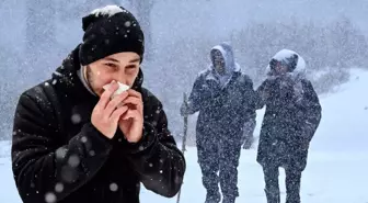 İstanbul'a lapa lapa kar geliyor! Kar kalınlığı 40 santimetreye ulaşacak