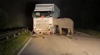 Gecenin karanlığında kahreden görüntü