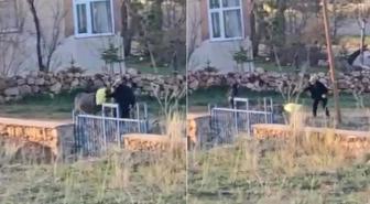 80 yaşındaki adamın sopayla dövdüğü eşek öldü