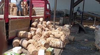 Yakalanmasalar vatandaşa yedireceklerdi! 7 ton bozulmuş peynir imha edildi