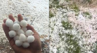 Ceviz büyüklüğünde dolu yağdı, meyve ağaçlarında yaprak kalmadı