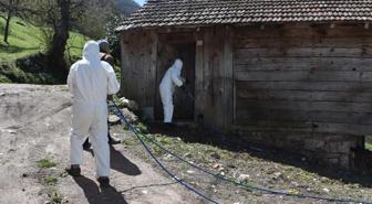 Bursa'da 3 mahallenin kabusu oldular: Yok etmek imkansız