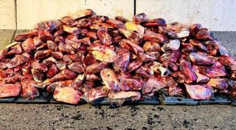 Vatandaşa yedireceklerdi, hepsine el konuldu! Tam 1 ton 700 kilo