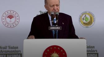 Cumhurbaşkanı Erdoğan'dan 'Yeşil Vatan' vurgusu: 5 karar aldık