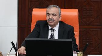 DEM Parti'nin yeni Meclis Başkanvekili Pervin Buldan oldu