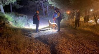 Pendik'te esrarengiz olay! Ormana girdi bir daha haber alınamadı
