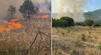Balıkesir'de tarım arazisinde yangın! Alevlere müdahale devam ediyor