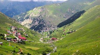 Trabzon'da yaylaya çıkan 75 kişi kayboldu