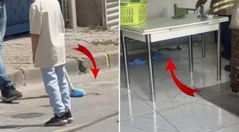 İstanbul'da 7 ilçede yılan görüldü, vatandaşlar tedirgin