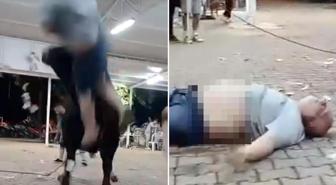 Yanına yaklaştığı boğa havaya fırlattı