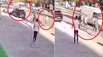 Ortasında kaldığı kavgadan kaçarken minibüsün altında kaldı! Dehşet anları kamerada