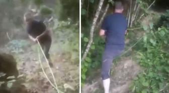 Bahçesini sulamak için içme suyu hattını deldi