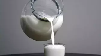 4 süt şirketine 58,3 milyon lira ceza