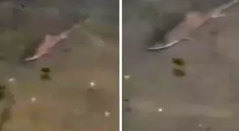 Burası Okyanus değil İstanbul'un göbeği! Denize bakanlar gözlerine inanamadı