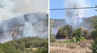 Bilecik'te iki ayrı noktada orman yangını