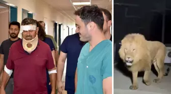 Aslan saldırısında yaralanan çiftçi Süleyman Kır: Aslana hakkımı helal ederim, bir suçu yok