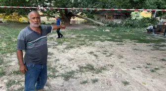 Kırılan ağaç dalı aynı aileden 11 kişiyi hastanelik etti