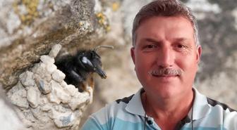 Hobi bahçesinde yaban arılarının yuvasını bozan vatandaşın acı sonu