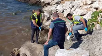 Atık suyu denize deşarj eden Yalova Belediyesi'ne rekor ceza