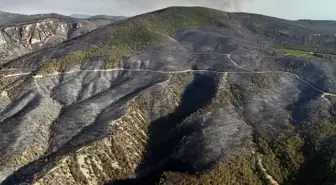 Sakarya'da orman yangınının neden olduğu tahribat havadan görüntülendi