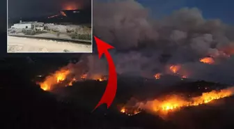 Sakarya'dan Bilecik'e sıçrayan yangın büyüyor! Akaryakıt istasyonu boşaltıldı
