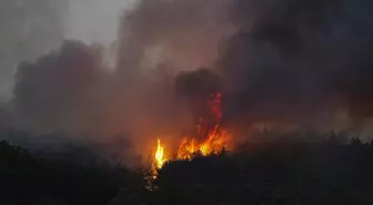 61 orman yangınıyla ilgili gözaltına alınan 23 kişiden 4'ü tutuklandı