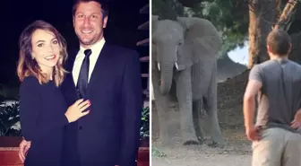 Milyoner safari patronu, 6 tonluk filin saldırısına uğrayarak feci şekilde can verdi