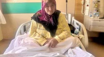 Ağrıyan bacağına ot saran yaşlı kadın, bedelini ağır ödedi