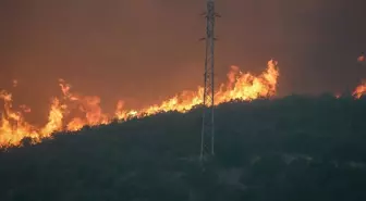 Eskişehir'de yangında alevlerin arasında kalan 10 orman işçisi ve AKUT çalışanı şehit oldu