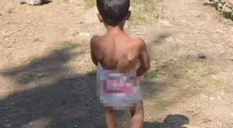 Günün karesi! Mayo bulamadı, suya böyle girdi