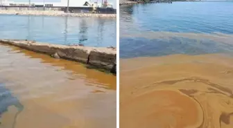 Yalova'da denizdeki kirliliğe jet inceleme! Numuneler TÜBİTAK'a gönderildi.