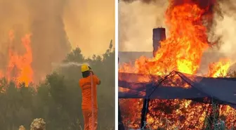 Antalya kabusu yaşıyor! Sıcaklık rekoru kırıldı, 6 noktada orman yangını çıktı
