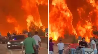 Bursa'da alevler hızla ilerliyor! Makam araçları yanmaktan son anda kurtuldu