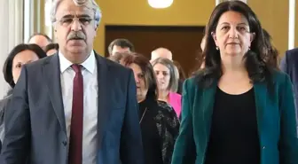 DEM Parti'den İmralı ziyareti sonrası ilk açıklama