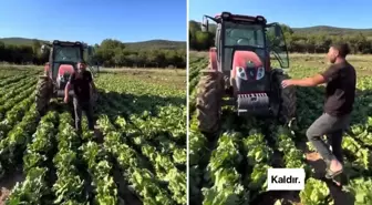 Tarlasındaki ürüne teklif edilen fiyat üreticiyi isyan ettirdi: Markette 30 TL'ye satıyorlar