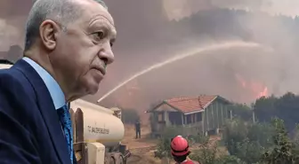 Cumhurbaşkanı Erdoğan'dan orman yangınlarıyla ilgili açıklama: Gece gündüz teyakkuz hâlindeyiz