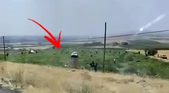 Karpuz tarlası sahibi karşılaştığı manzara karşısında şoke oldu