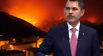 Bakan Murat Kurum: Orman yangınlarında toplam 104 yapının ağır hasarlı ya da yıkık