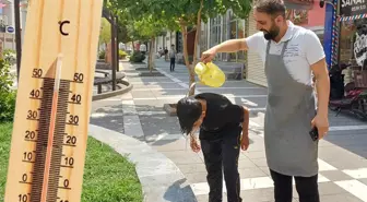 Tüm zamanların sıcaklık rekorunun kırıldığı Silopi'de hayat durma noktasına geldi