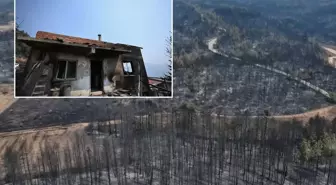 Yüzde 72'si ormanla kaplı Karabük'ün son hali yürek yakıyor