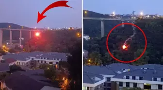 Beykoz'da ormanlık alanda yangın çıktı