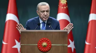Cumhurbaşkanı Erdoğan: Orman yangınlarında sabotaj ve kasıtlar da var