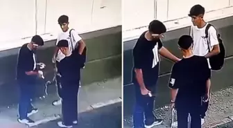 Güpegündüz yaptıklarına bakın! Görüntü Meksika'dan değil Türkiye'den