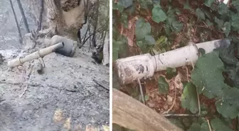 Sakarya'daki orman yangınının sebebi belli oldu: 2 gözaltı