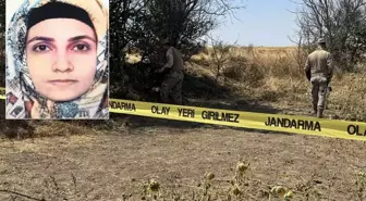 Tarlada başlayan yasak aşk, tarlada bitti
