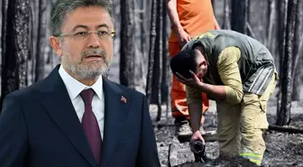 4 ilde yangınlar kontrol altına alındı, Bursa'da alevlerle mücadele devam ediyor