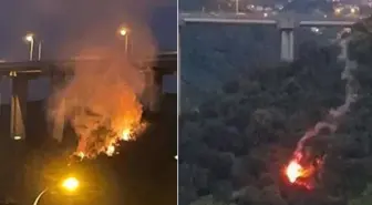 Beykoz'daki yangın sonrası valilik harekete geçti! 28 Ekim'e kadar hepsinin satışı yasak